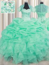 Floor Length Apple Green Sweet 16 Quinceanera Dress Organza Sleeveless Beading and Ruffles and Pick Ups