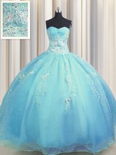 Exquisite Zipper Up Sleeveless Beading and Appliques Zipper Sweet 16 Quinceanera Dress