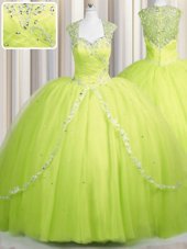 Zipper Up Cap Sleeves Brush Train Zipper With Train Beading and Appliques Quinceanera Dress