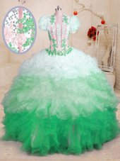 High Quality Multi-color Organza Lace Up Sweetheart Sleeveless With Train Ball Gown Prom Dress Brush Train Beading and Appliques and Ruffles