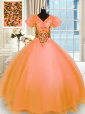 Delicate Ball Gowns Quinceanera Gowns Orange V-neck Organza Short Sleeves Floor Length Lace Up