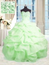 Graceful Sleeveless Floor Length Beading and Ruffles Lace Up Sweet 16 Quinceanera Dress with