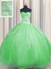 Sexy Zipper Up Floor Length Ball Gowns Sleeveless Quinceanera Gowns Zipper