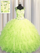 See Through Zipper Up Tulle Sleeveless Floor Length 15th Birthday Dress and Beading and Ruffles