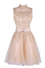 Tulle Sleeveless Knee Length Cocktail Dress and Appliques