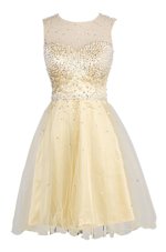 Spectacular Scoop Organza Sleeveless Knee Length Cocktail Dresses and Sequins