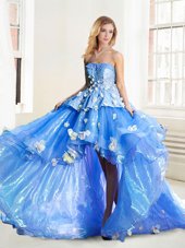 Blue Strapless Lace Up Appliques 15 Quinceanera Dress Sleeveless